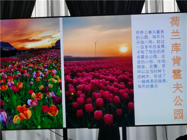 四川中青旅(lǚ)绵(mián)阳(yáng)分社(shè)独家定(dìng)制圆梦欧(ōu)洲系列 - 大(dà)全景 9 国 16 天 德国-法国(guó)-瑞士-意(yì)大(dà)利-奥地利-荷(hé)兰(lán)-比利时-列(liè)支敦士登(dēng)-卢森堡